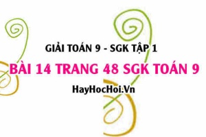 Giải bài 14 trang 48 SGK Toán 9 tập 1